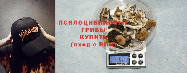 амф Алексин