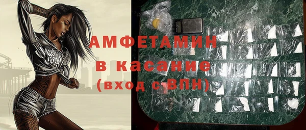 амф Алексин
