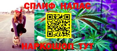 дживик Новозыбков