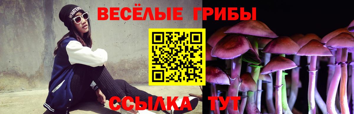 Иркутск  Галлюциногенные грибы Psilocybine cubensis  Вход с VPN 
